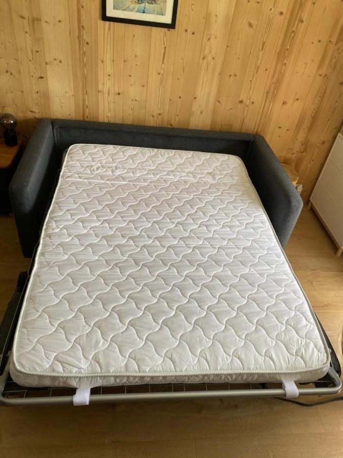 Location Studio Plein Centre Les Carroz Экстерьер фото